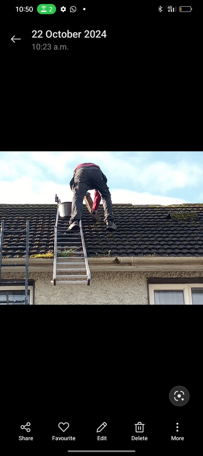 Tree and property work