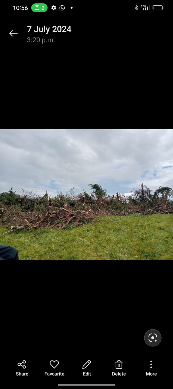 Tree and property work