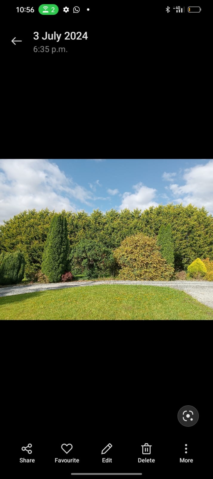Tree and property work
