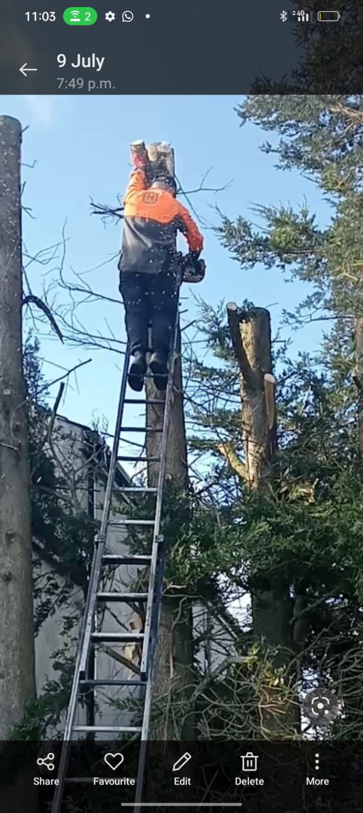 Tree and property work